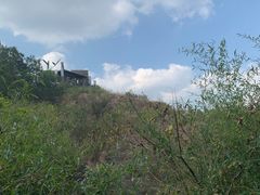 -白马涧龙池景区
