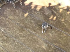 -鄂尔多斯野生动物园