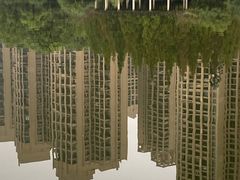 -成都南湖公园