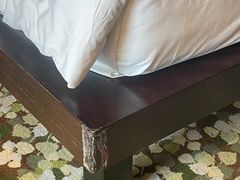 -上海崇明金茂凯悦酒店