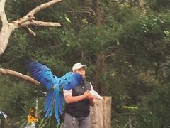 -可伦宾野生动物保护区