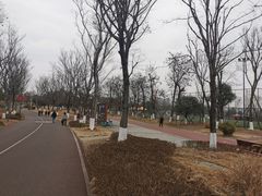 -桂溪生态公园