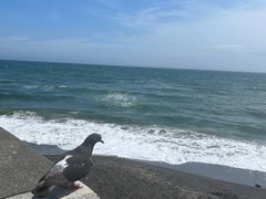 -灌篮高手动画打卡地