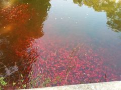 037-普陀山风景名胜区-法雨禅寺