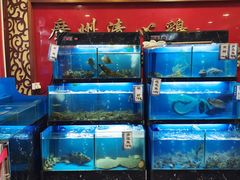 水产区-渔意楼·驰名沙田乳鸽(五羊旗舰店)