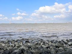 -上海吴淞炮台湾国家湿地公园