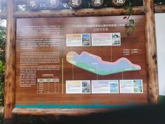 -华侨城湿地公园
