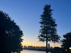 -顺峰山公园