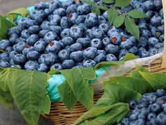 -南坛综合农贸市场