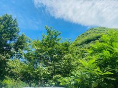 -灵溪风景区