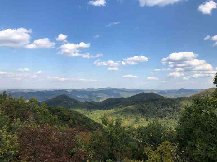 抚顺紫花岭景区"夏天去的,没有以前刚开时候好了,维护跟不.