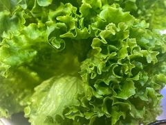 -杨记齐齐哈尔烤肉(总店)