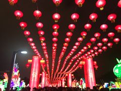 -万绿园