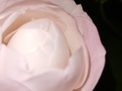 -万达广场(南宁青秀店)