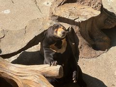 -北京野生动物园