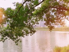 -西北湖绿化广场