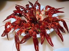 -淮扬府·游园京梦(北京SKP店)