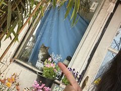 -海边的猫和咖啡馆