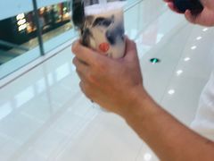 -书亦烧仙草(北碚万达店)