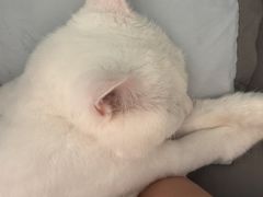 -美联众合动物医院·24h转诊中心
