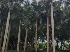 -白鹭洲公园