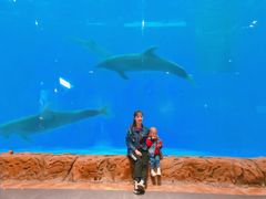 -华夏文旅海洋公园