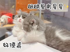 -狗道宠物(常熟印象城店)