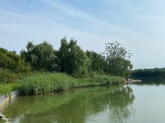 -大兴滨河森林公园