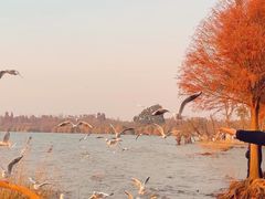 -捞渔河湿地公园