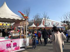 -三圣花乡旅游区