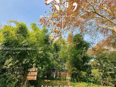 -东湖听涛景区