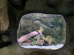 -杭州长乔极地海洋公园