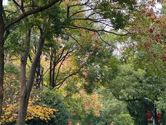 -岳麓山风景名胜区