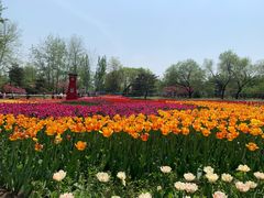 -国家植物园南园