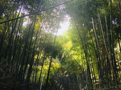 -石塘人家