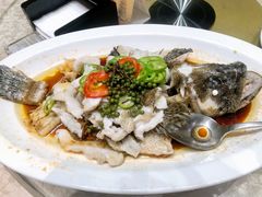 藤椒东星斑-绿岛国际酒店·海鲜酒楼(八七路店)