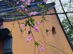 -龙华寺