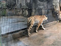 -南昌动物园