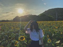 -映月湖中央公园