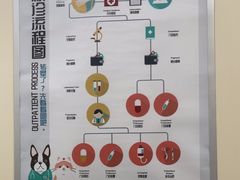 -美联众合爱康动物医院•复杂内科•肿瘤科•牙科•腔镜诊疗中心