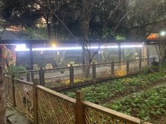 -天怡·鱼工厂(临江店)