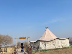 -西青郊野公园