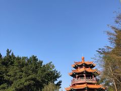 -神光山国家森林公园