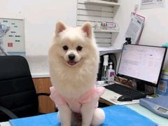 -宠福鑫动物医院(望京分院)