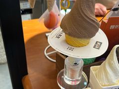 -野人先生Gelato(上海长宁龙之梦店)