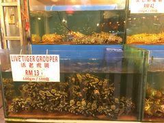-真浪花园海鲜餐馆