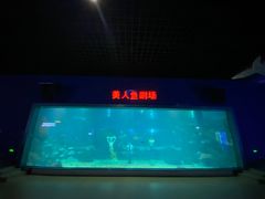 -福州罗源湾海洋世界旅游区