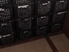 -六鳌红蜜薯批发零售
