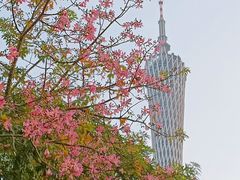 -海心沙亚运公园