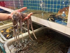 -遇西祠·海鲜烧烤(总店)